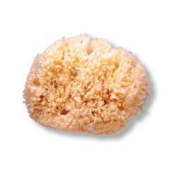 Suavinex Esponja Natural Grande