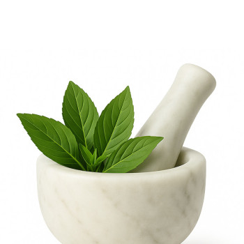 Tés e infusiones